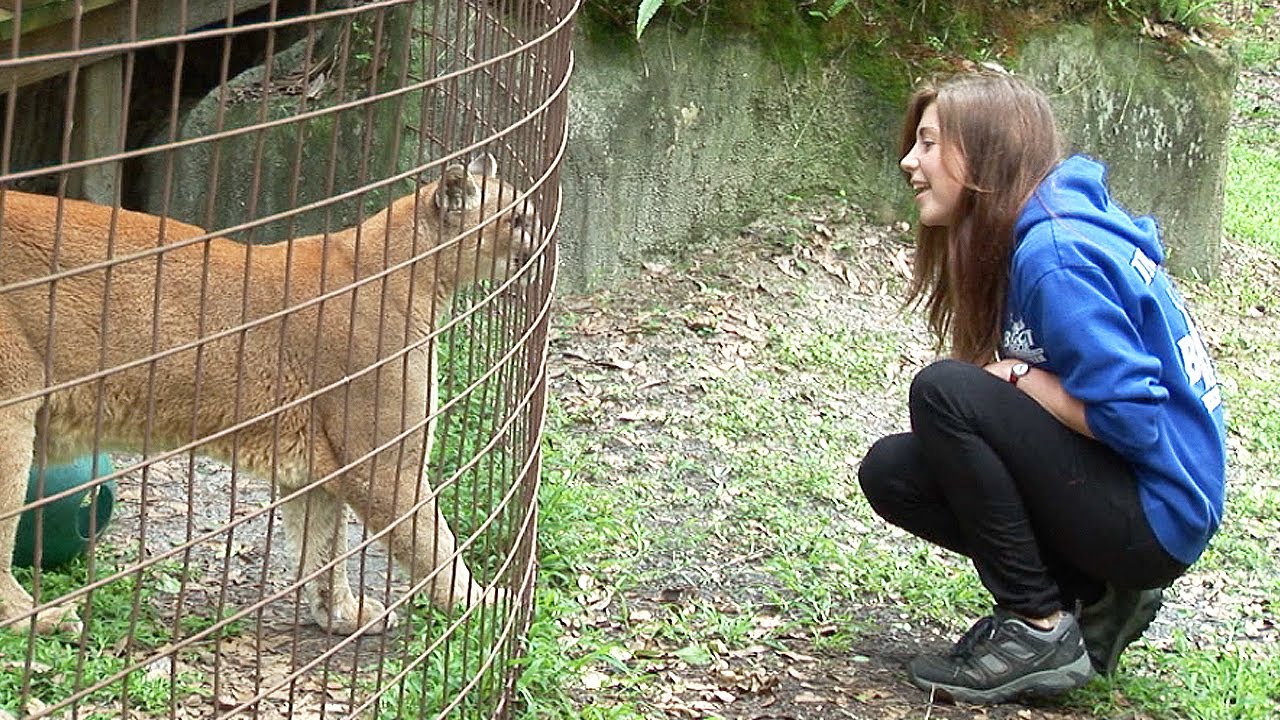 person standing across from mountainlion